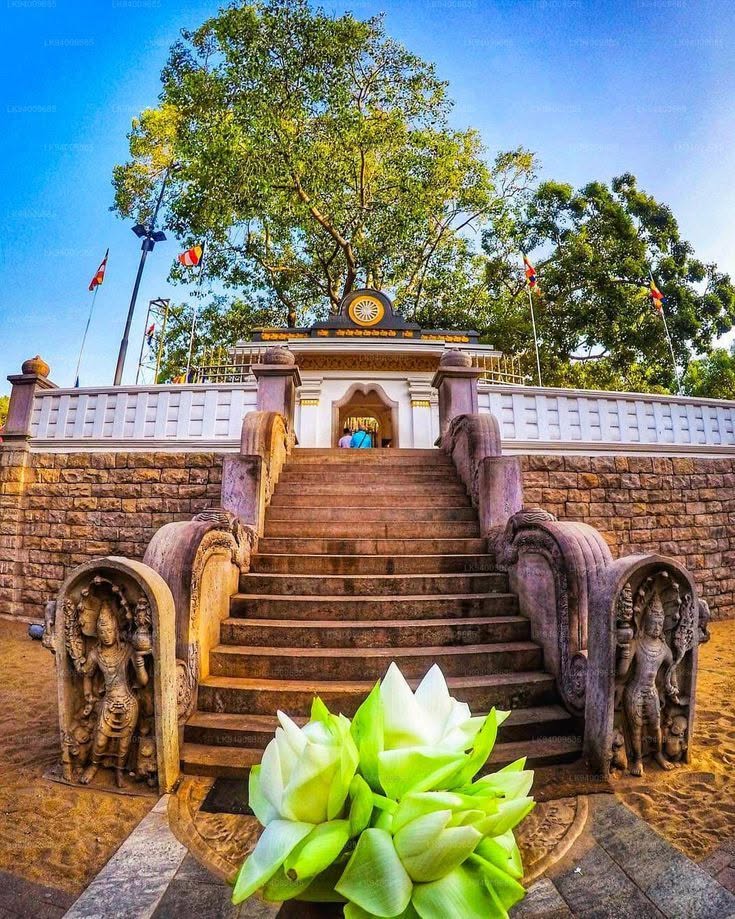 Cultural Tour Anuradhapura