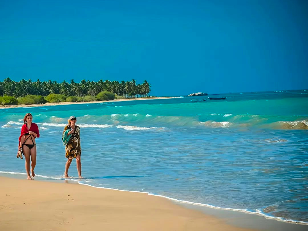Beach Tour