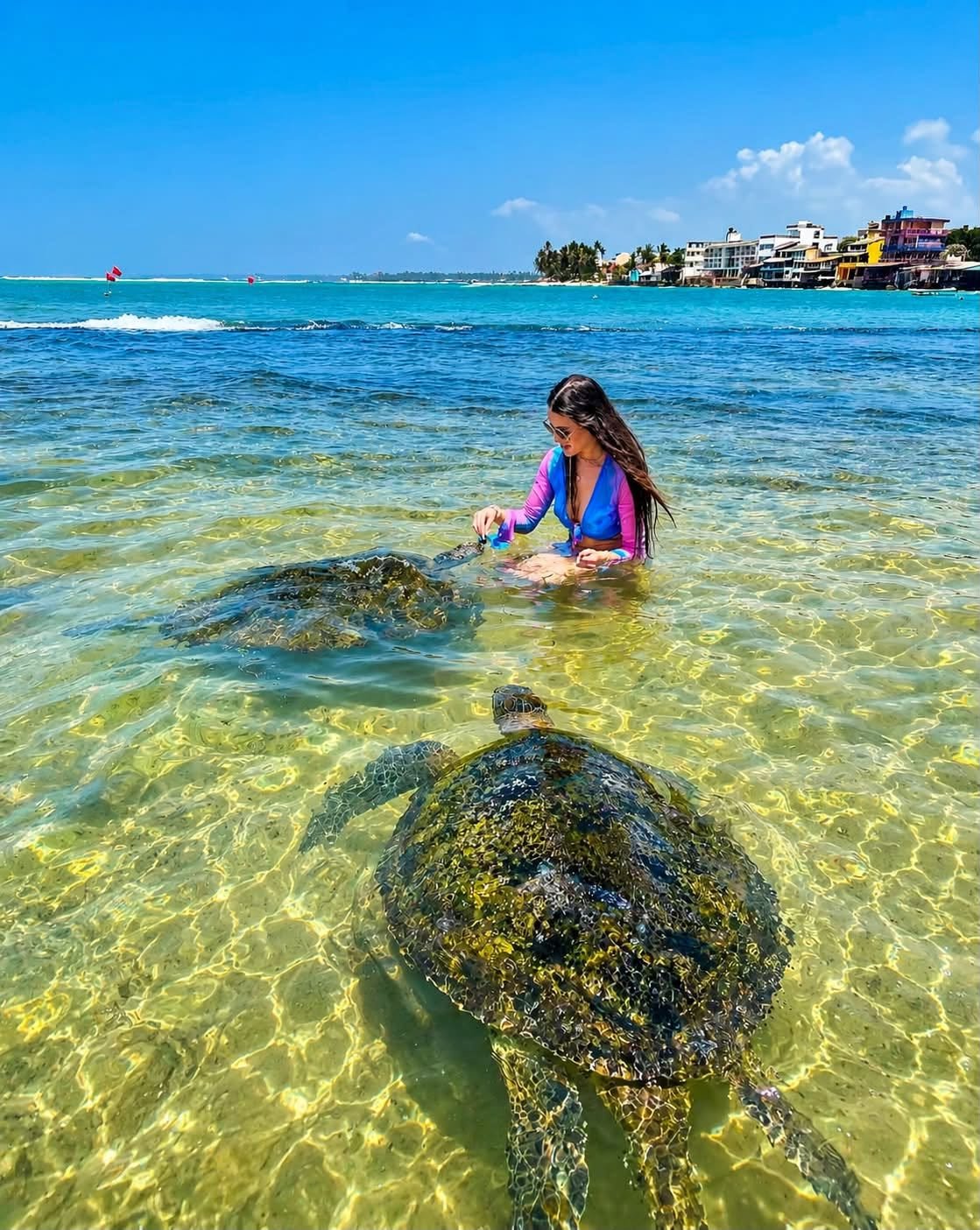 Southern Sri Lanka Beach, Wildlife & Culture Tour