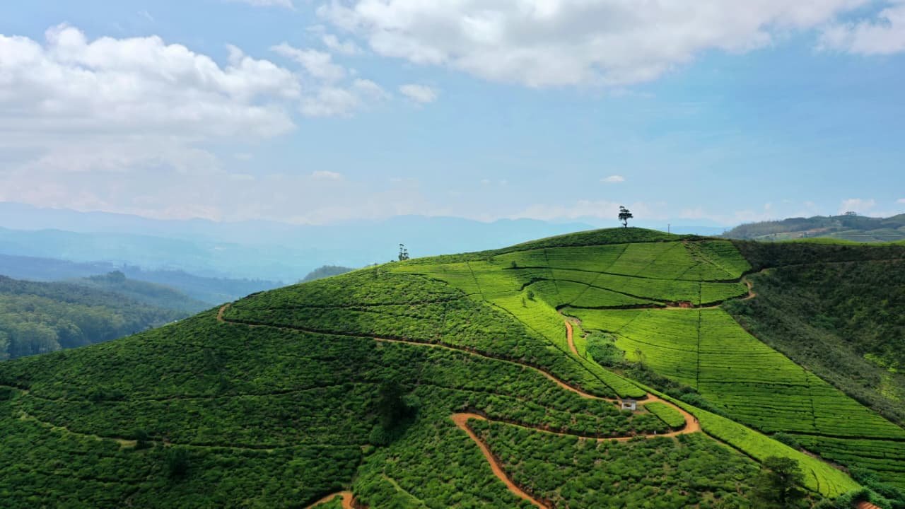 Sri Lanka Wildlife, Heritage & Hill Country Tour